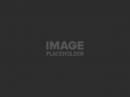 pojo-placeholder-4